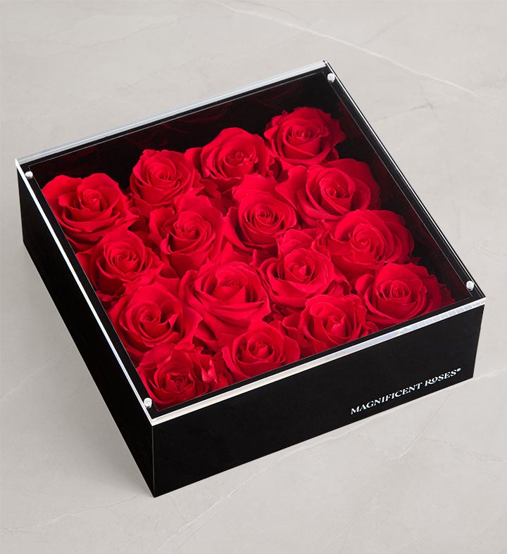 Magnificent Roses® Preserved Love Vault