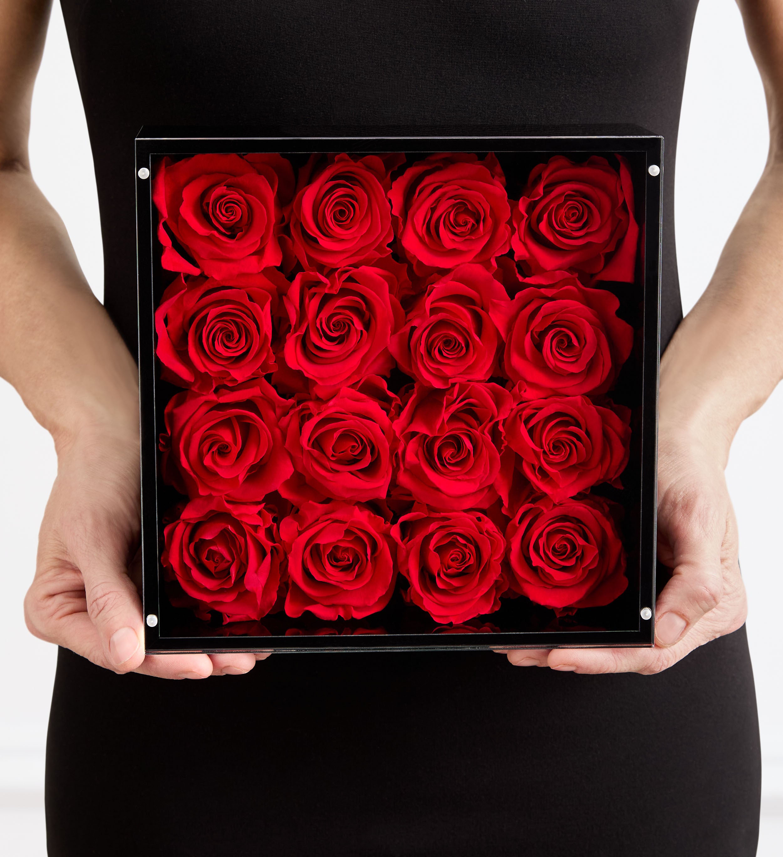 Magnificent Roses® Personalized Message | 1800Flowers