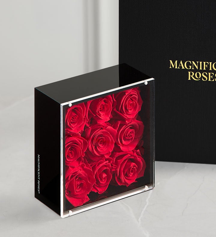 1-800-Flowers Flower Delivery Magnificent Roses Preserved Love Vault Classic Love Vault - 9 Preserved Roses