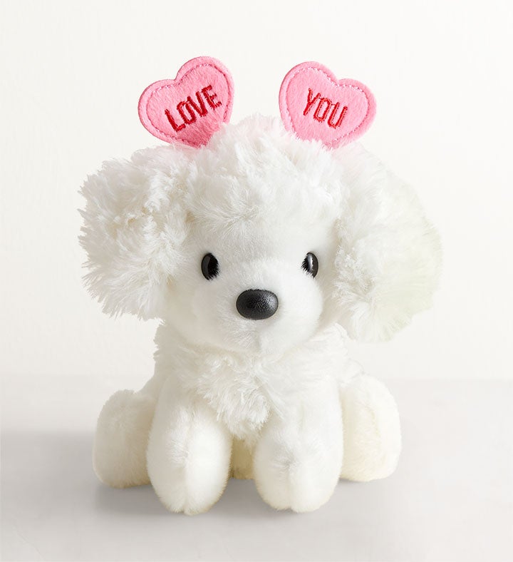 1-800-Flowers Gifts Delivery Lotsa Love Sweet Puppy Plush Sweet Puppy Poodle Plush