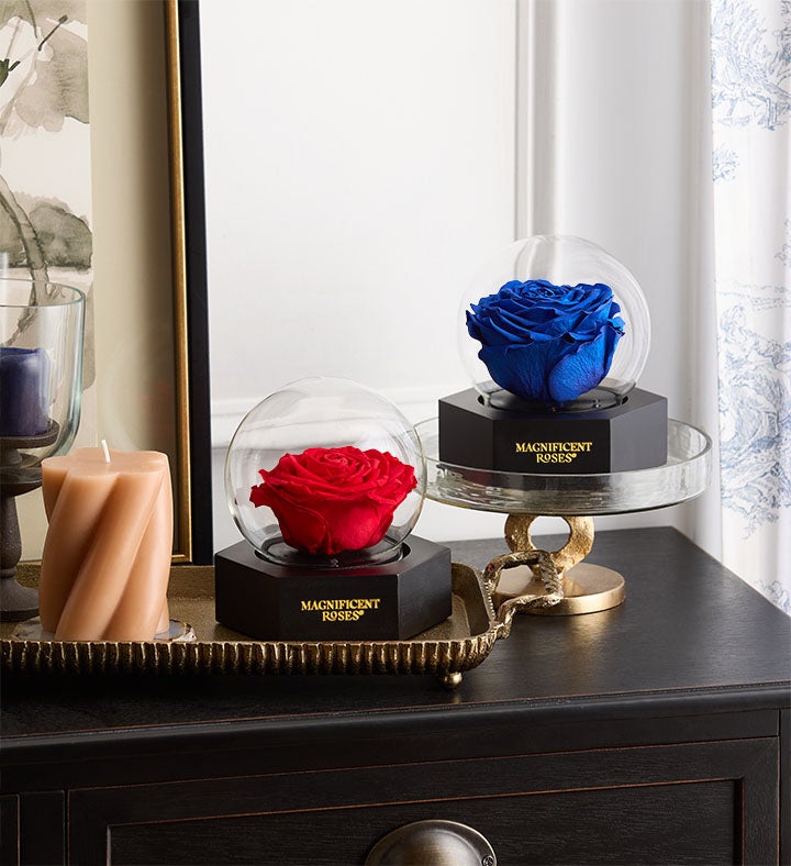 Magnificent Roses® Preserved Illuminating Rose