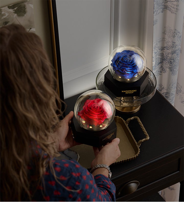 Magnificent Roses® Preserved Illuminating Globe