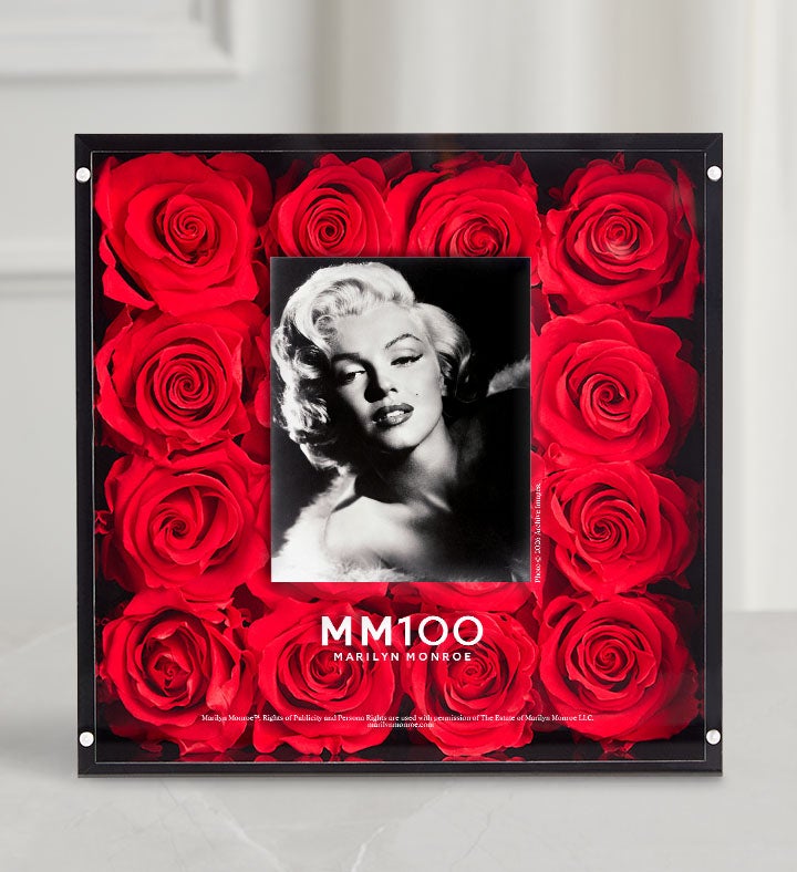 Marilyn Monroe™ Timeless Magnificent Roses®