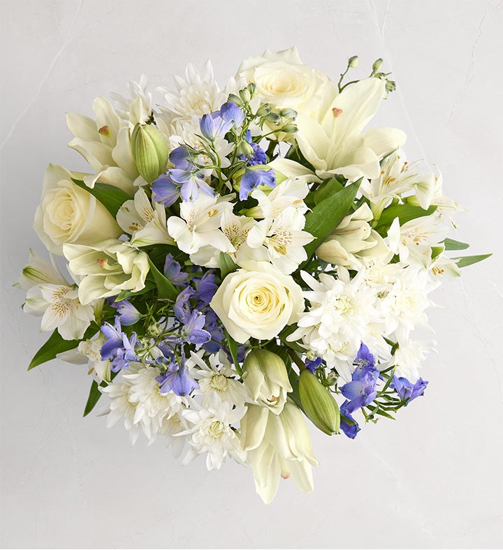 1-800-Flowers Seasonal Gift Delivery Winter Sonata Bouquet Only