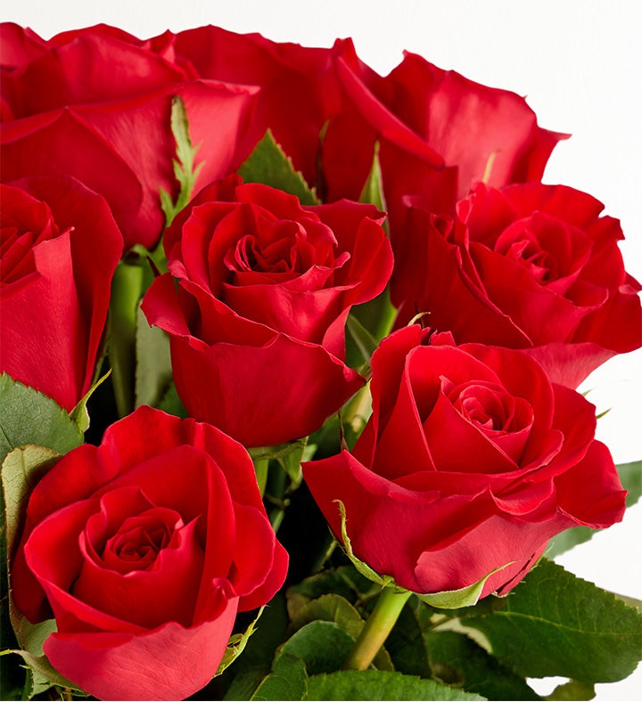 BRITTO® Heartburst Bouquet