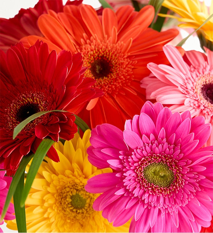BRITTO® Hello, Joy! Bouquet | Custom Britto Keepsake | 1800Flowers