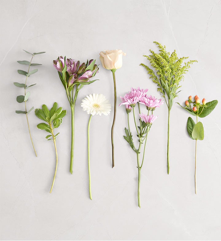 Seraphina's Garden™ | 1800Flowers