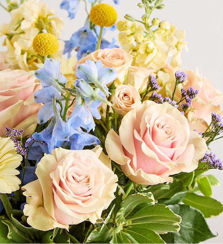 ⭐︎⁺ ✴︎ Daphne's Bliss™ | 1800Flowers