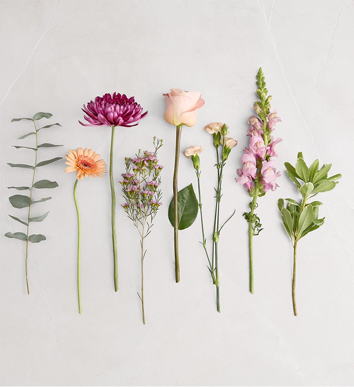 Bistro Blooms™ | 1800Flowers