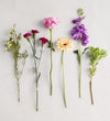 Alluring Beauty™ Bouquet