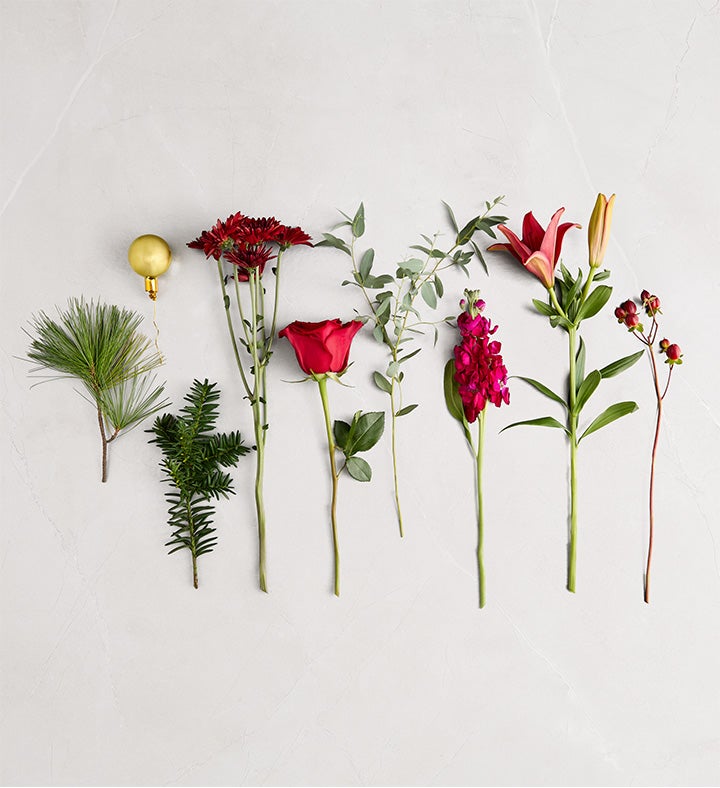 Crimson Carol™ | 1800Flowers