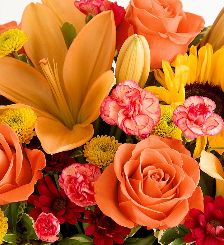 Fields of Europe® for Fall Basket