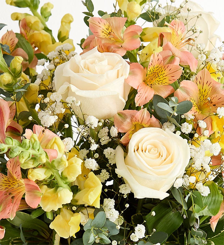 Natural Elegance™