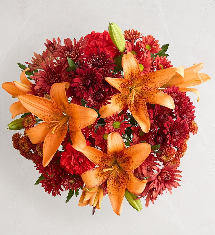 1-800-Flowers Flower Delivery Fields Of Burgundy Bouquet Only