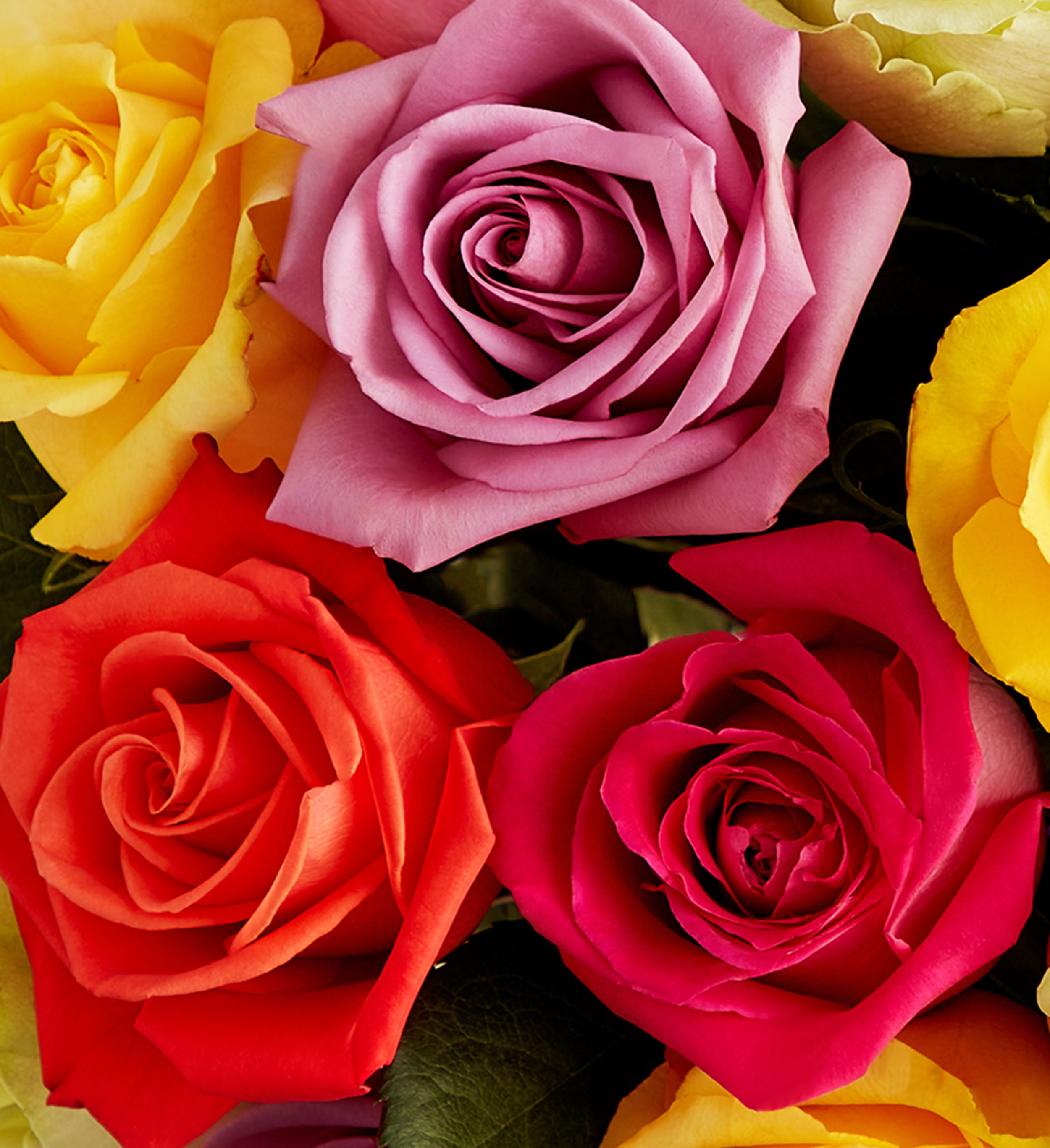DIY Assorted Rose Flower Box