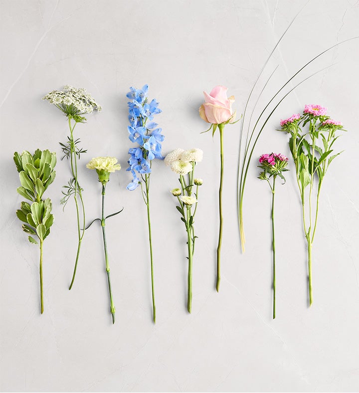 Delphinium Garden™ — 1-800-Flowers.com (from $69.99) | SendFlowers.io