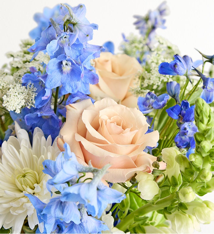 Cerulean Dreams™ - Blue Delphinium Bouquet | 1800Flowers