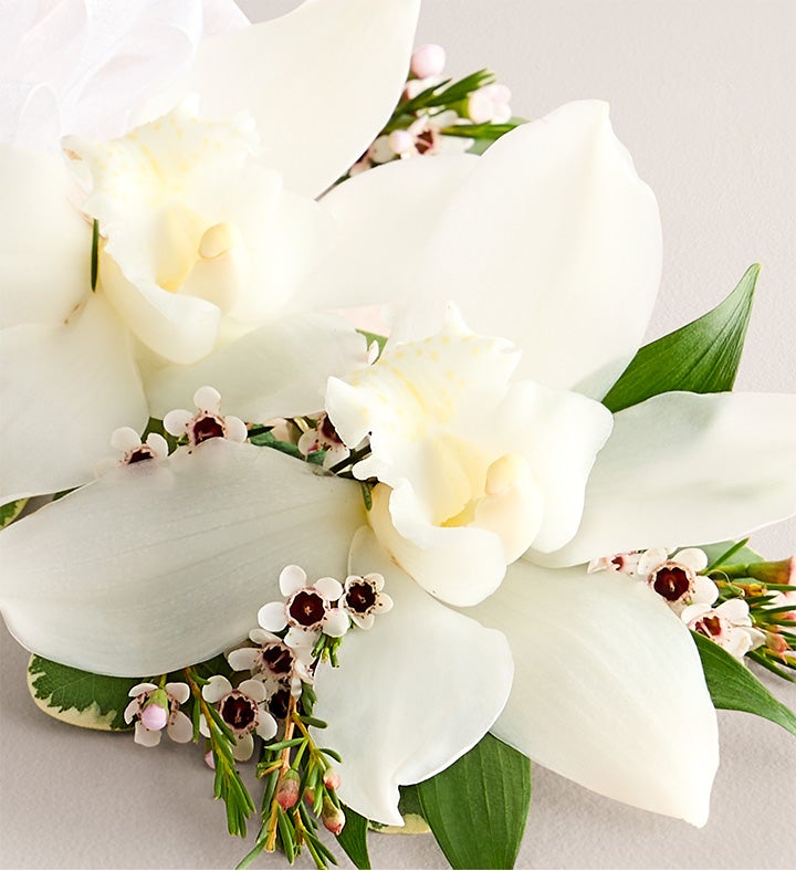 White Cymbidium Orchid Corsage