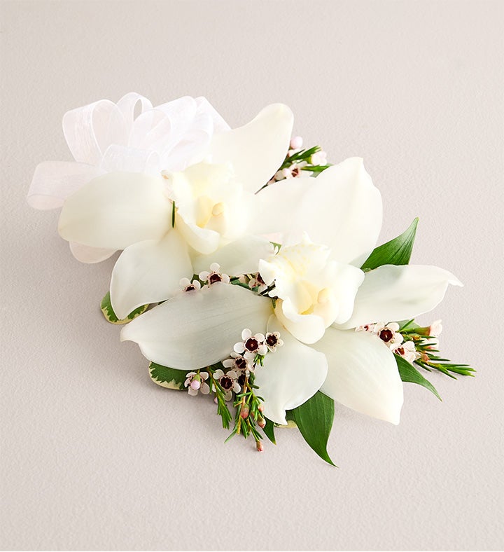 1-800-Flowers Flower Delivery White Cymbidium Orchid Corsage Large White Bow