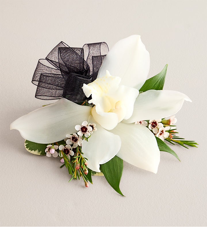 1-800-Flowers Flower Delivery White Cymbidium Orchid Corsage Small Black Bow
