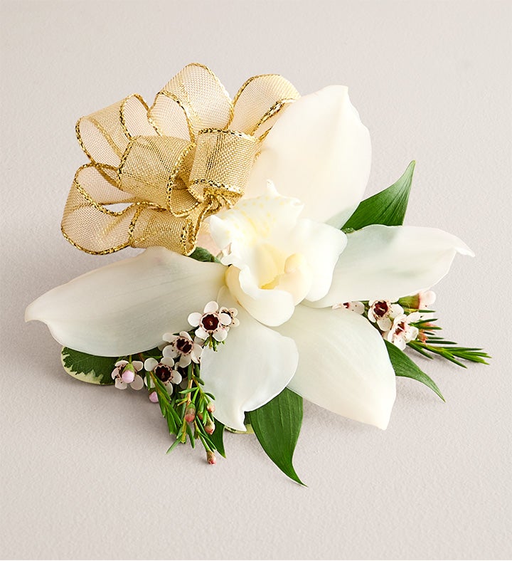 1-800-Flowers Flower Delivery White Cymbidium Orchid Corsage Small Gold Bow