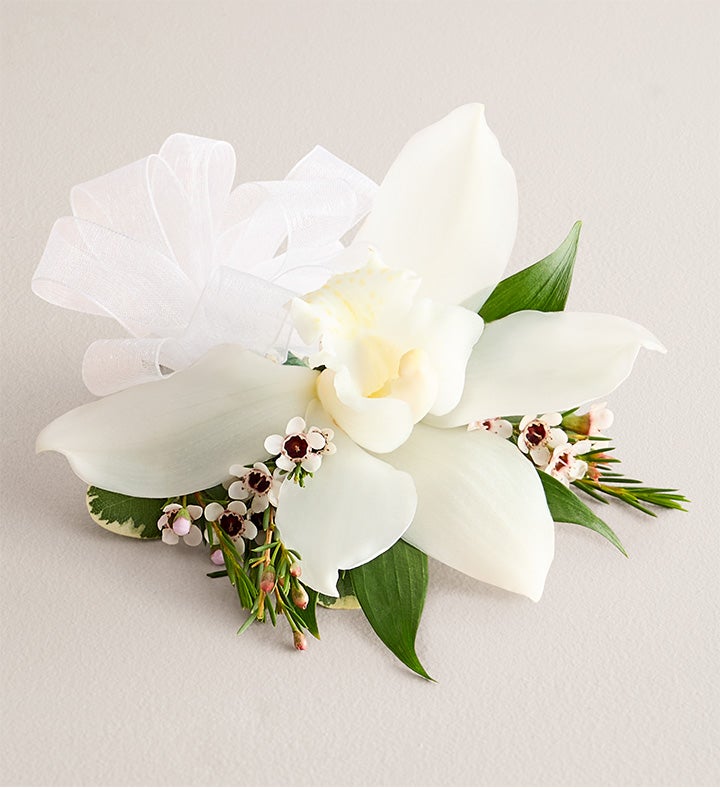 1-800-Flowers Flower Delivery White Cymbidium Orchid Corsage Small White Bow