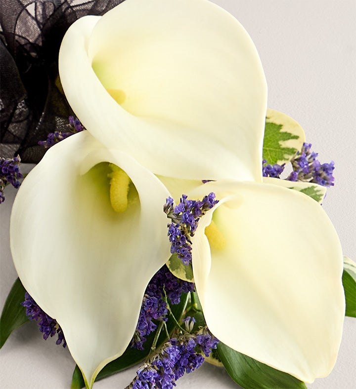 White Mini Calla Corsage And Boutonniere