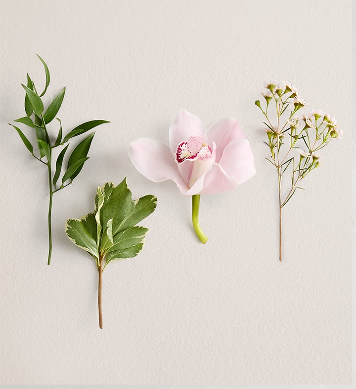 Pink Cymbidium Orchid Corsage