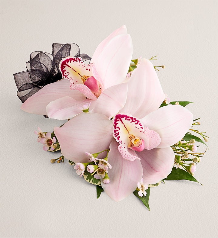 1-800-Flowers Flower Delivery Pink Cymbidium Orchid Corsage Large Black Bow