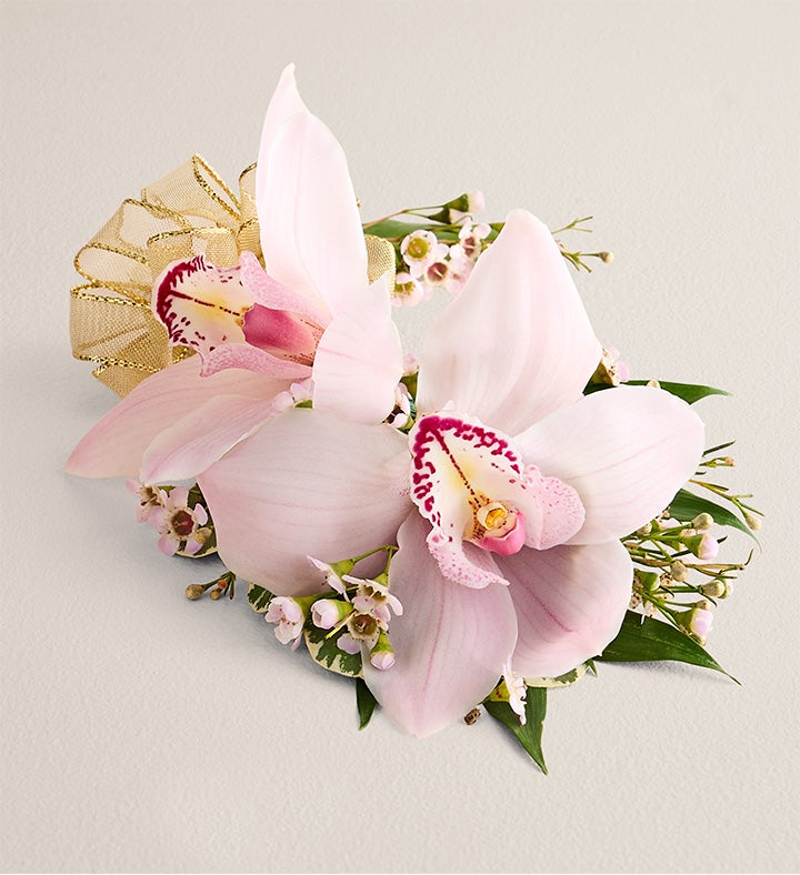 1-800-Flowers Flower Delivery Pink Cymbidium Orchid Corsage Large Gold Bow