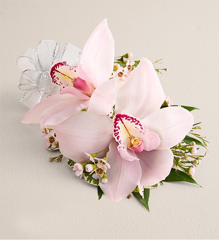 1-800-Flowers Flower Delivery Pink Cymbidium Orchid Corsage Large Silver Bow
