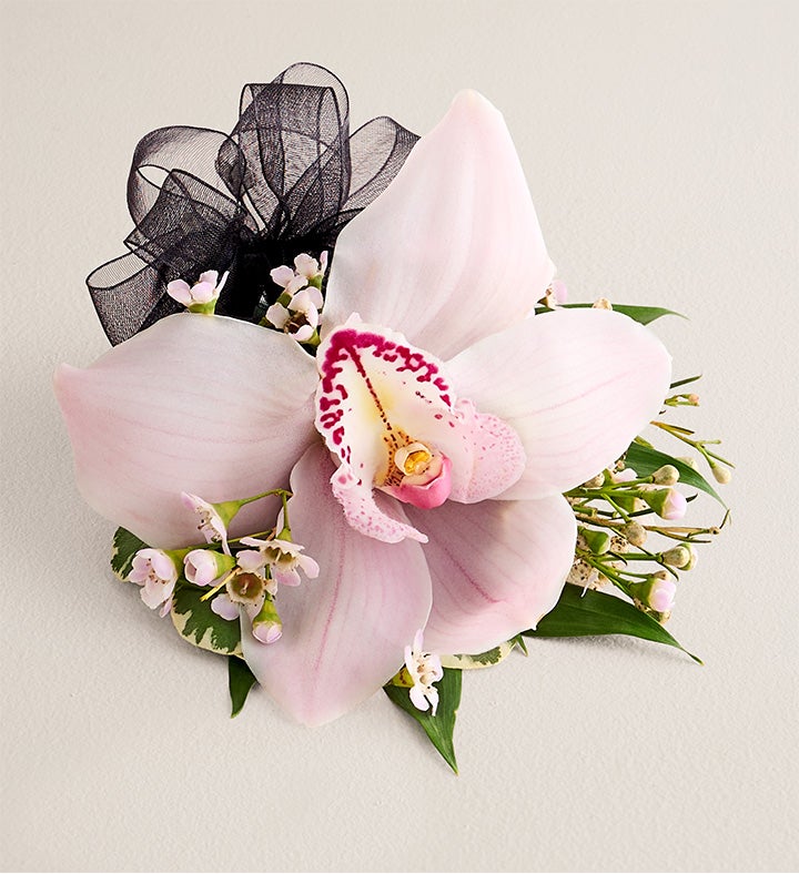 1-800-Flowers Flower Delivery Pink Cymbidium Orchid Corsage Small Black Bow