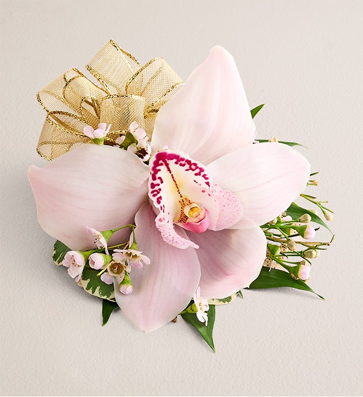 1-800-Flowers Flower Delivery Pink Cymbidium Orchid Corsage Small Gold Bow
