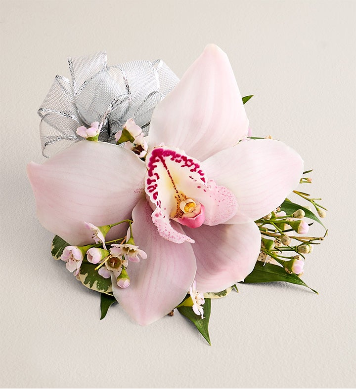 1-800-Flowers Flower Delivery Pink Cymbidium Orchid Corsage Small Silver Bow