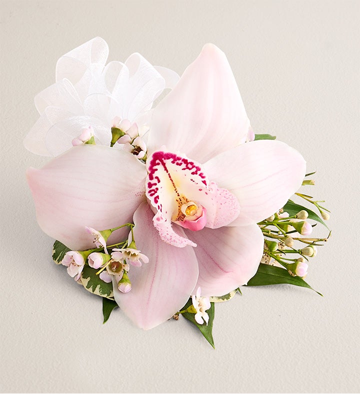 1-800-Flowers Flower Delivery Pink Cymbidium Orchid Corsage Small White Bow