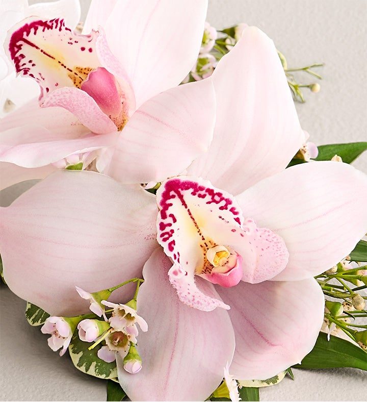 Pink Cymbidium Orchid Corsage and Boutonniere