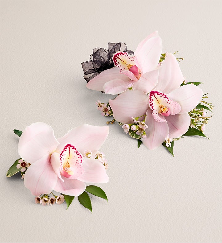 1-800-Flowers Flower Delivery Pink Cymbidium Orchid Corsage & Boutonniere Large Black Bow & Boutonniere