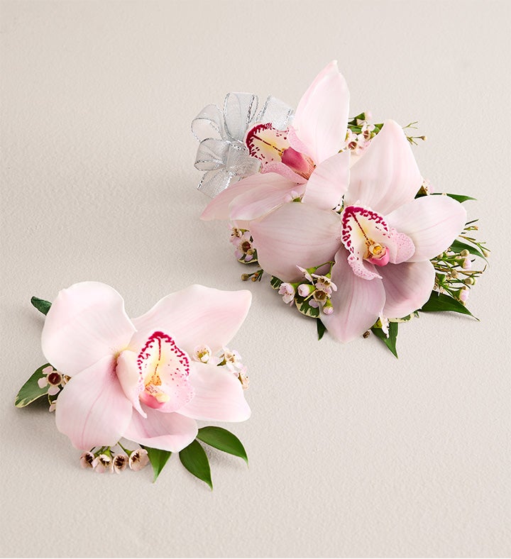 1-800-Flowers Flower Delivery Pink Cymbidium Orchid Corsage & Boutonniere Large Silver Bow & Boutonniere