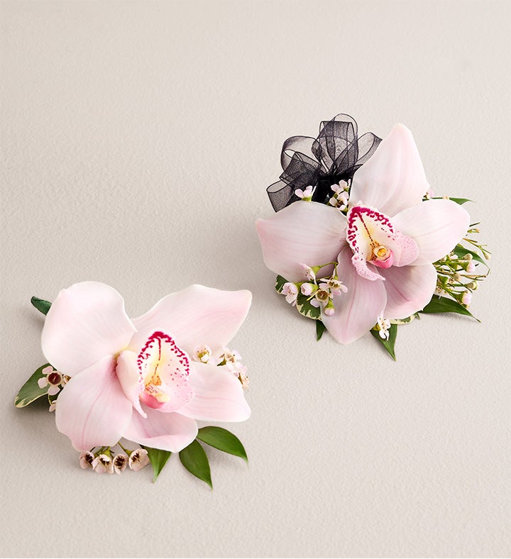1-800-Flowers Flower Delivery Pink Cymbidium Orchid Corsage & Boutonniere Small Black Bow & Boutonniere