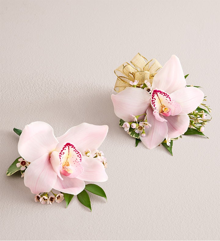 1-800-Flowers Flower Delivery Pink Cymbidium Orchid Corsage & Boutonniere Small Gold Bow & Boutonniere