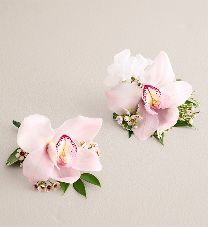 1-800-Flowers Flower Delivery Pink Cymbidium Orchid Corsage & Boutonniere Small White Bow & Boutonniere