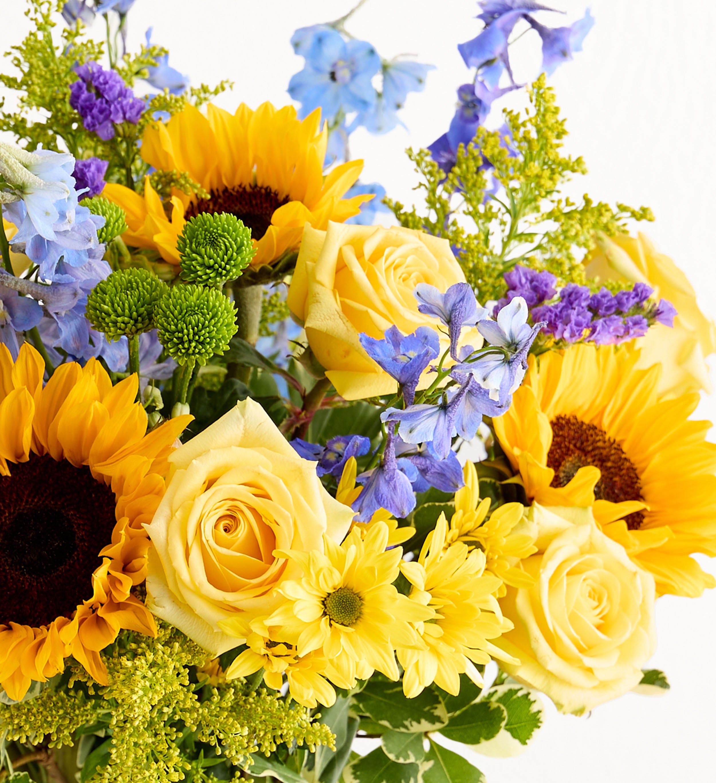 Fields Of Europe® Summer | 1800Flowers