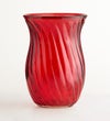 Our Favorite Fall Tulips™