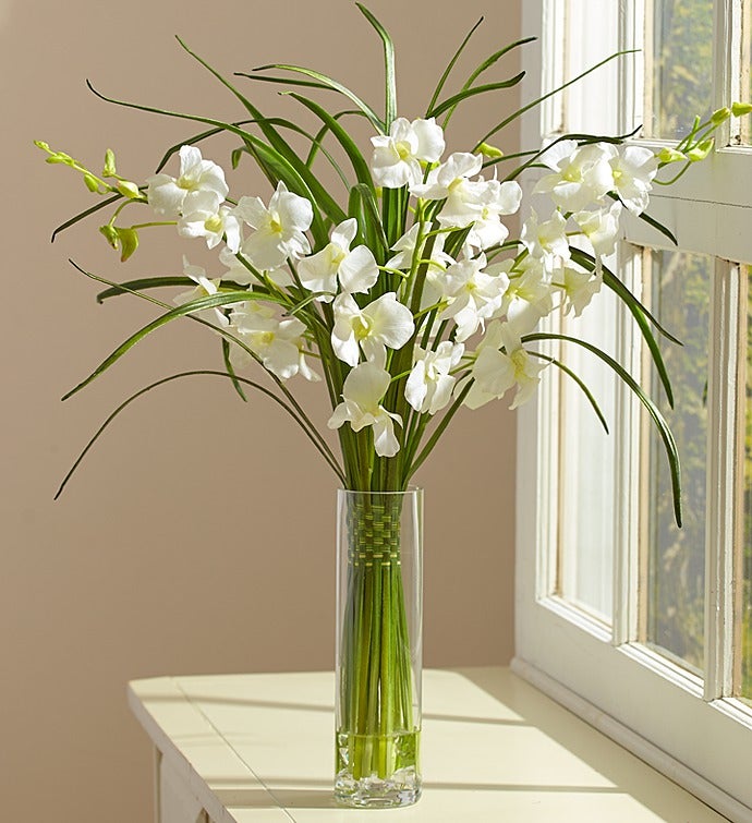 White Silk Dendrobium Orchids