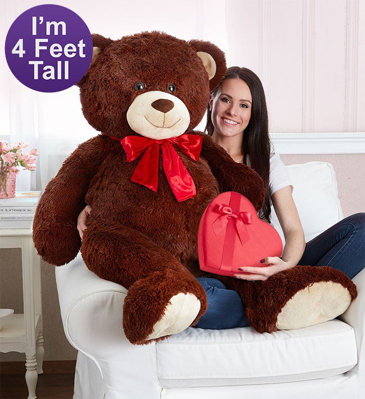 Get Well Bear Plush  Louisville Gift Delivery