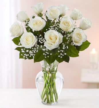 Rose Elegance Premium Long Stem White Roses
