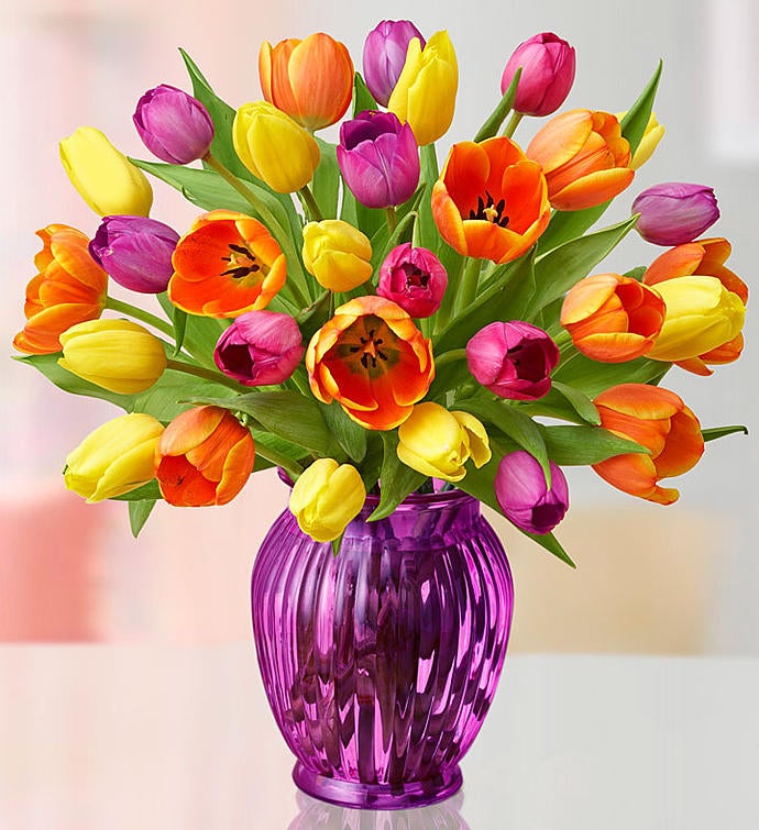 Assorted Tulips, 30 Stems for $34.99