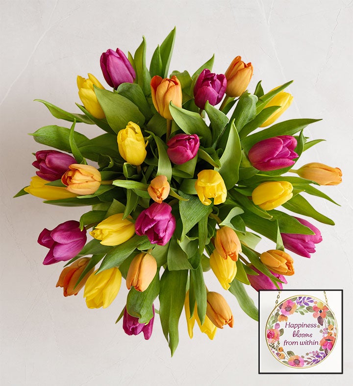 1-800-Flowers Flower Delivery Assorted Tulip Bouquet 30 Stems W/ Suncatcher