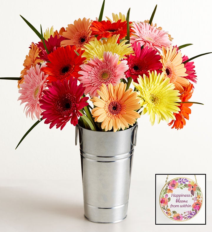 Happy Gerbera Daisies