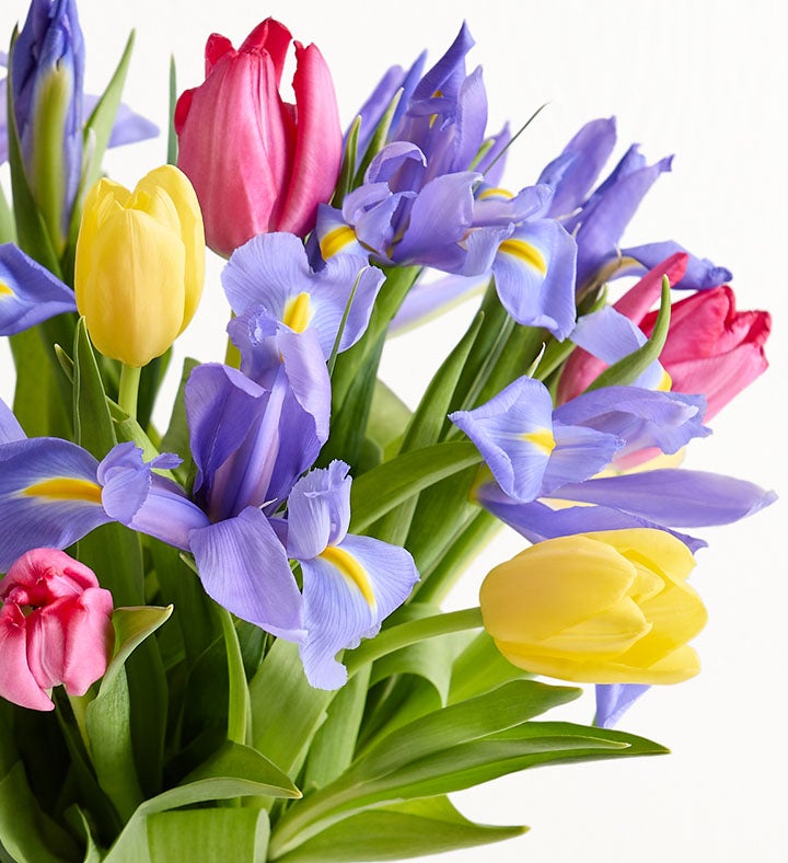 Fanciful Spring Tulip & Iris Bouquet